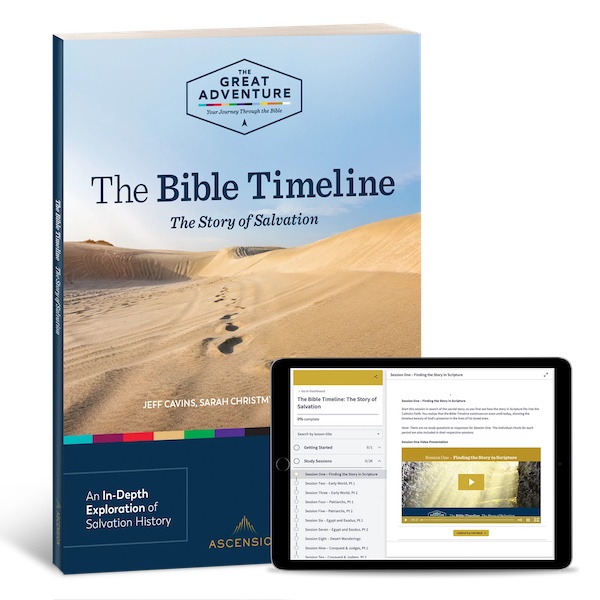 The Bible Timeline: The Story of Salvation, Study Set – True Vine